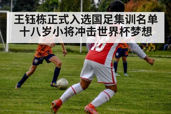 王钰栋正式入选国足集训名单十八岁小将冲击世界杯梦想